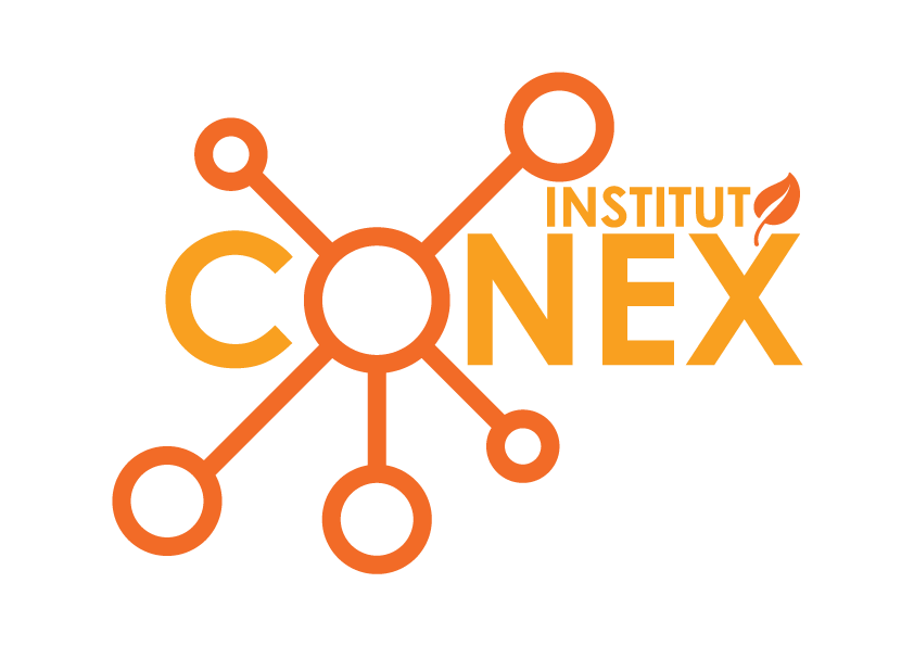 Instituto Conex
